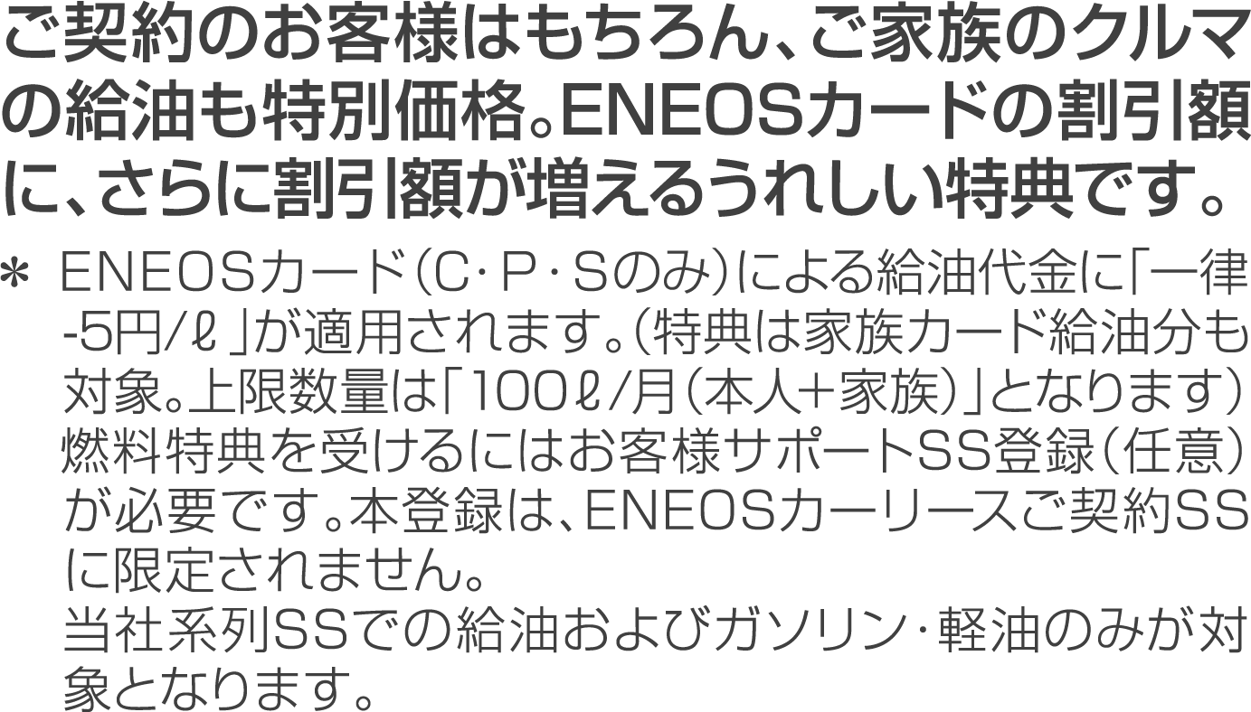 Eneosカーリース